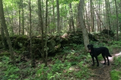 oscar-at-boogerman-stone-wall