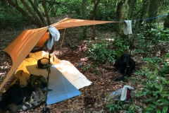 Oscar next to tarptent