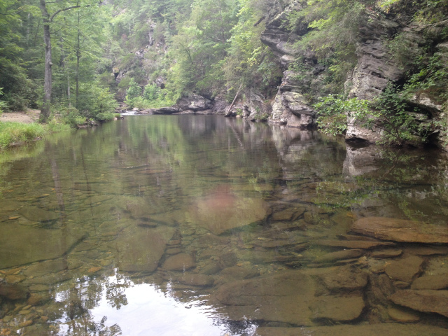 Lower Jacks River and Horseshoe Bend Trails