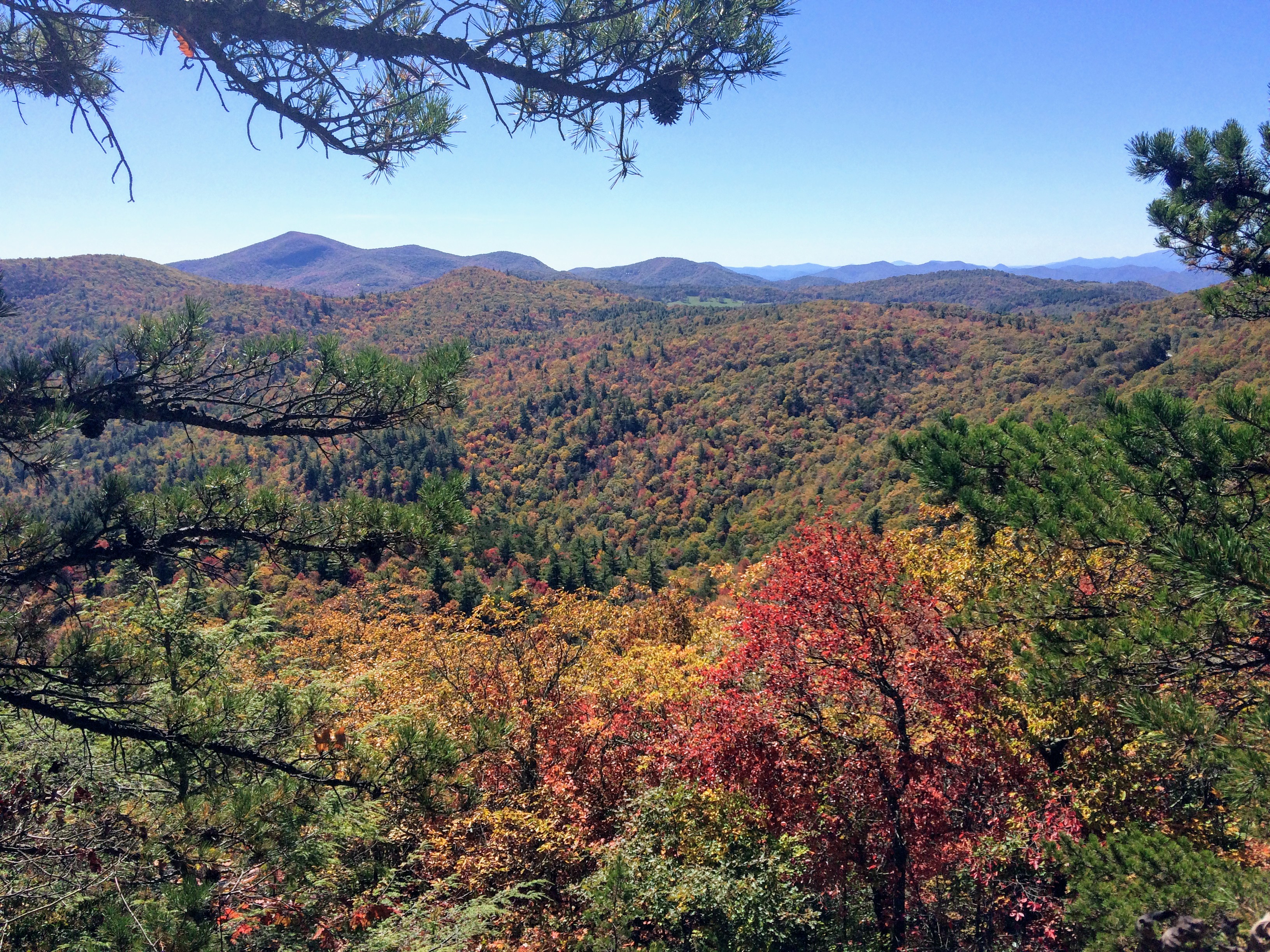 Day 1 – NC Bartram Trail