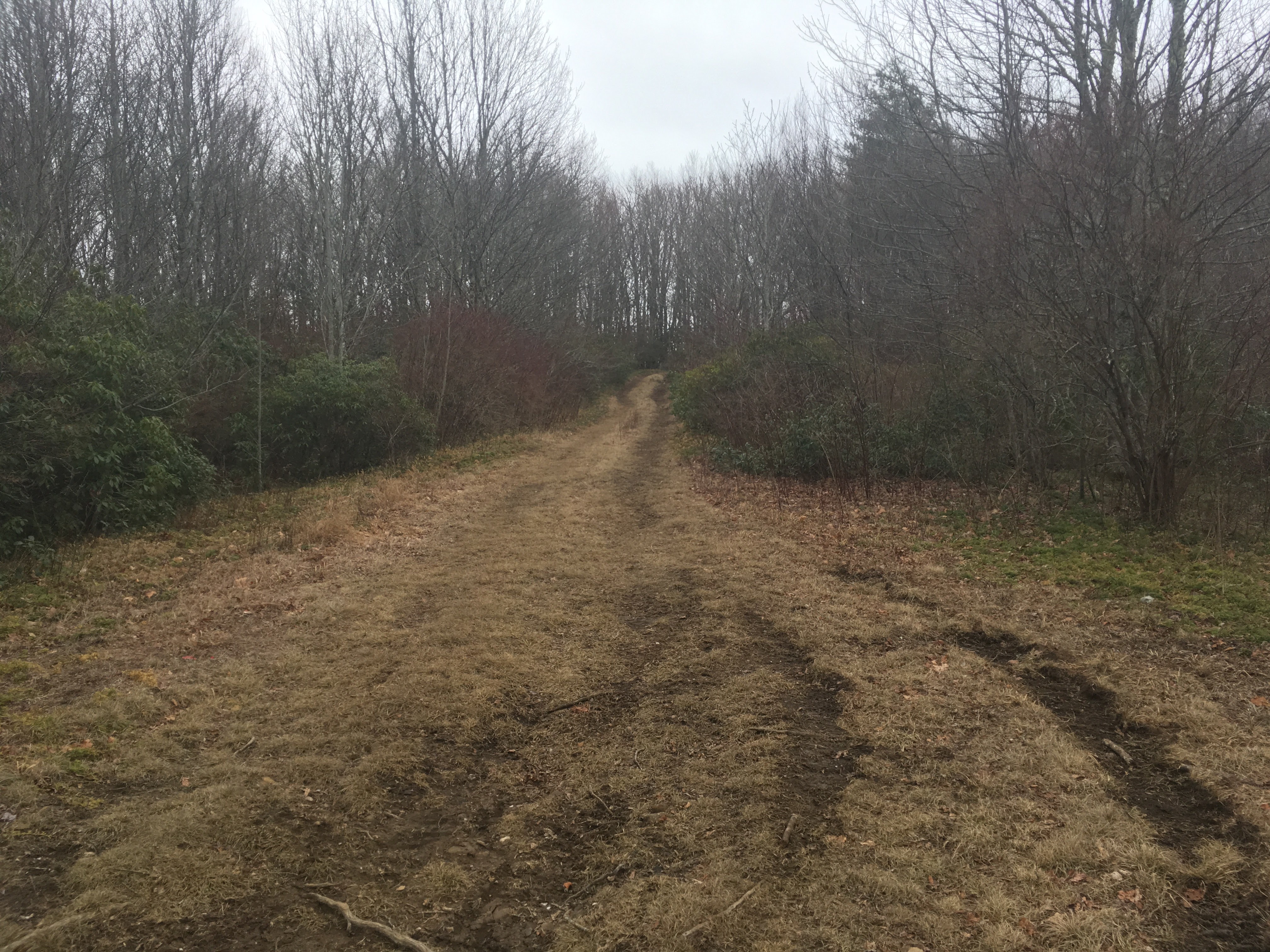 Trail Guide – King Meadows Trail No. 63