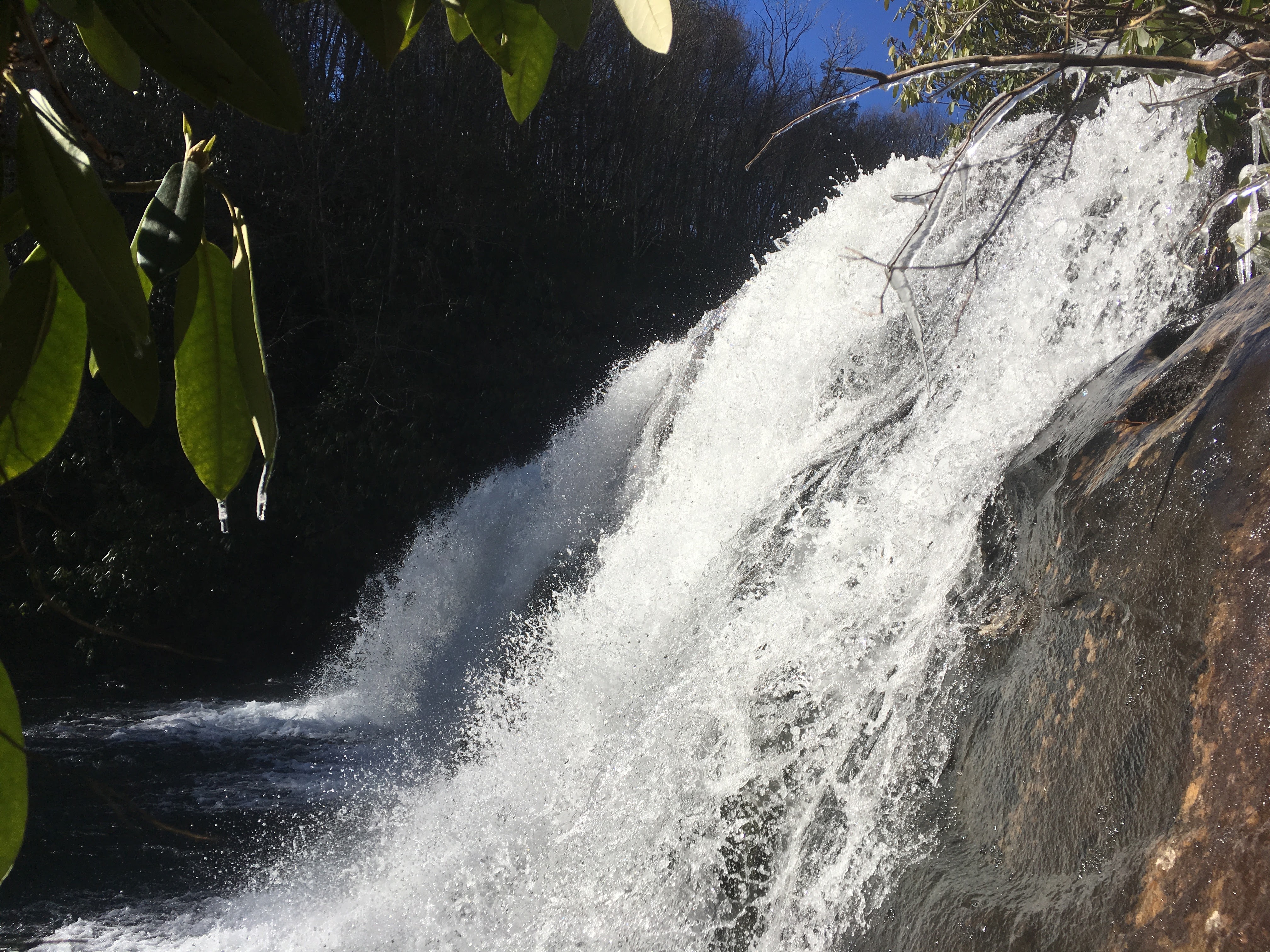 Trail Guide – Snowbird Creek Trail No. 64 & 64A