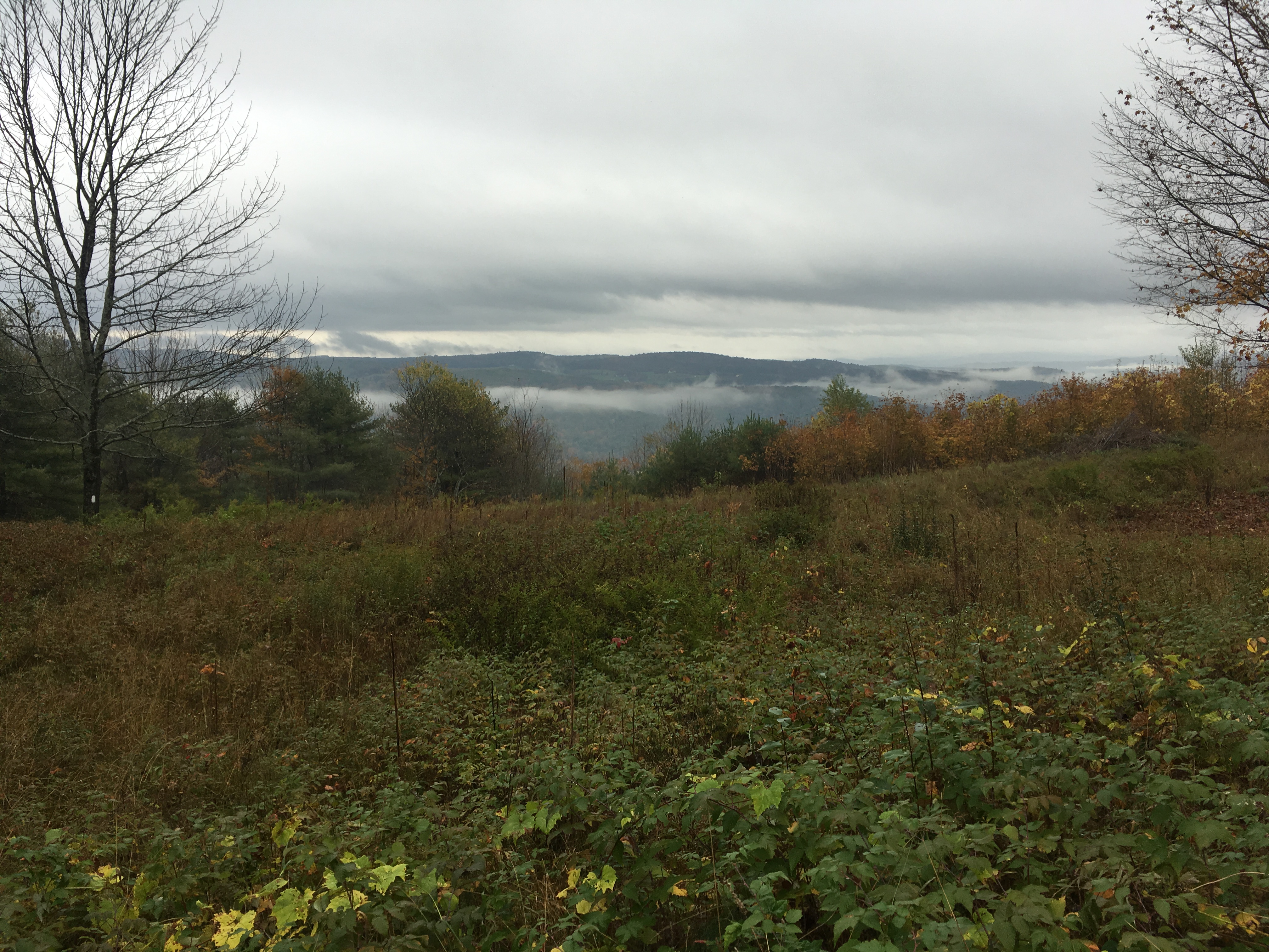 Day 3 – Rain and More Rain on AT