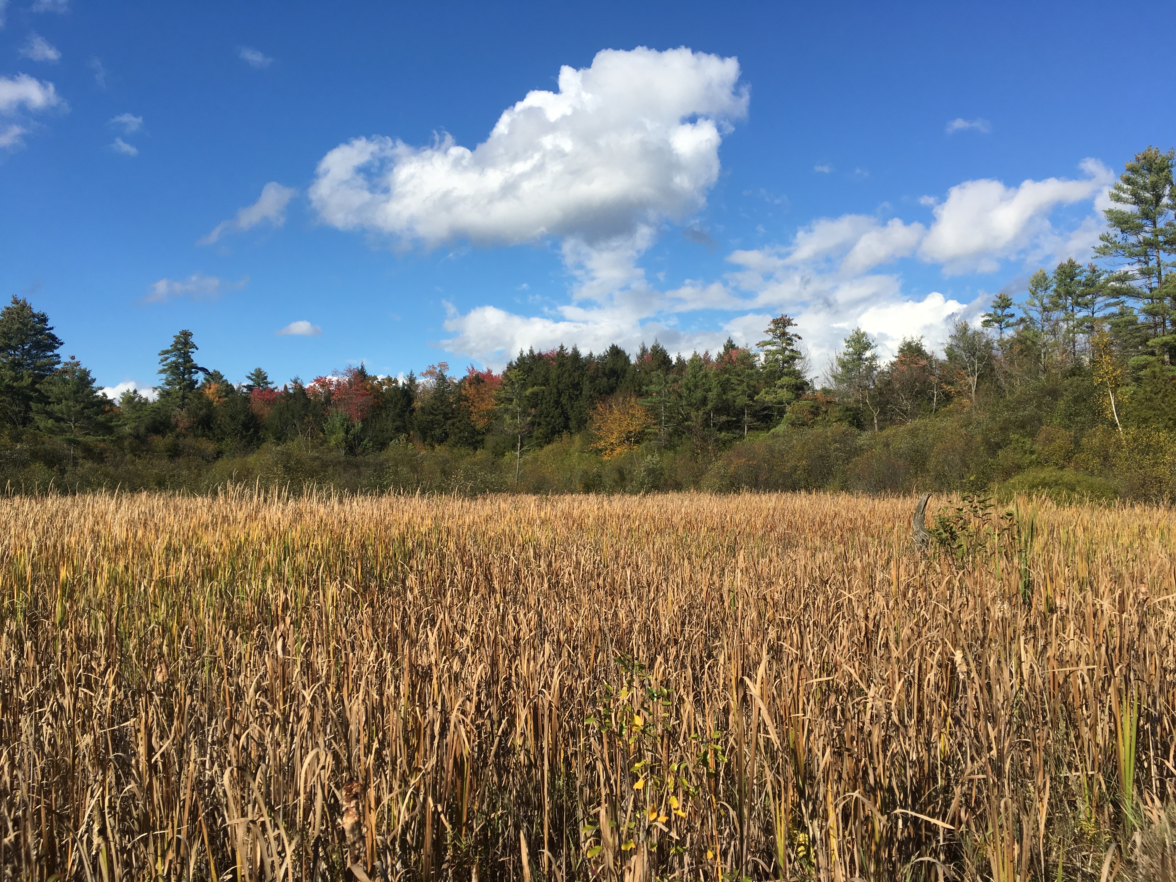 Day 2 – New Hampshire AT