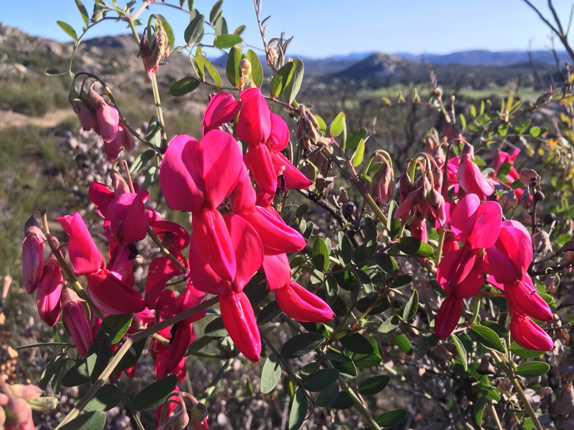 Day 2 – Slowing Down, Getting Organized, Establishing Routine