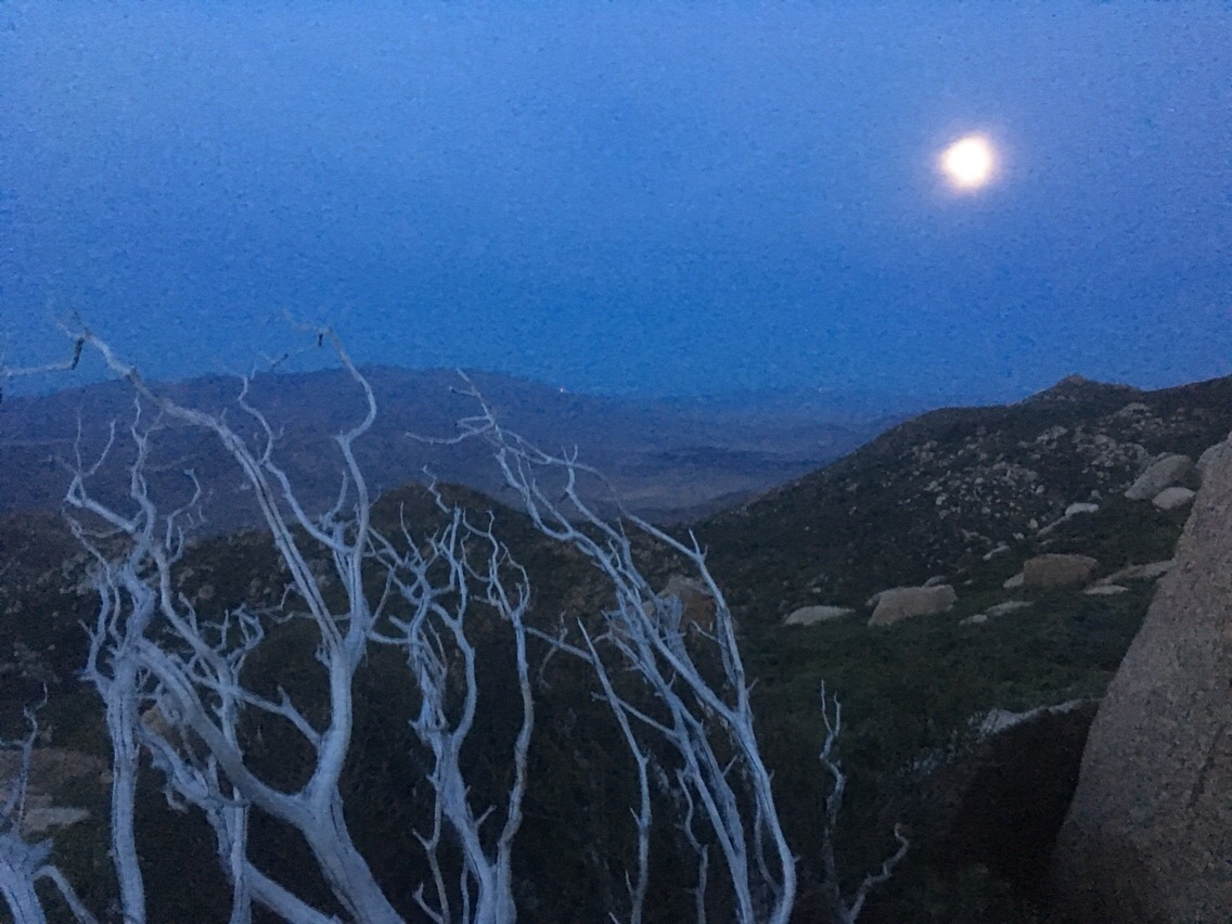 Day 4 – Sleeping under a rock