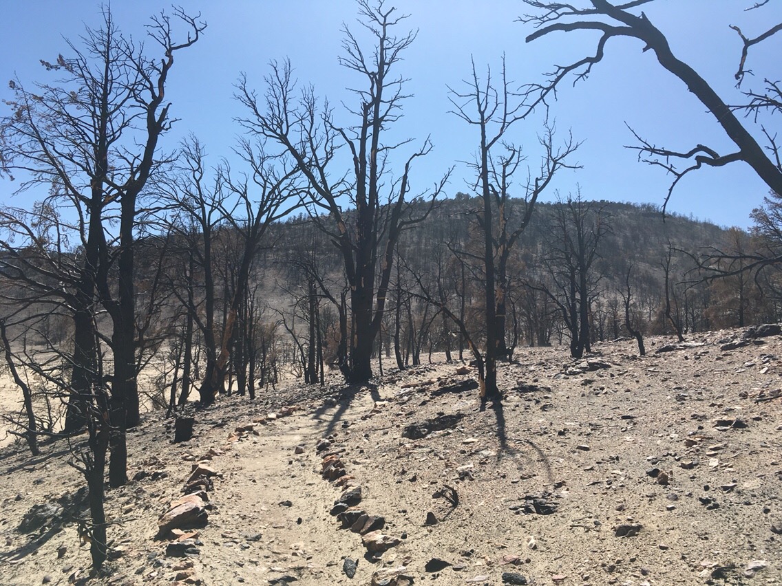 Day 16 – Leaving Town Big Bear Blues