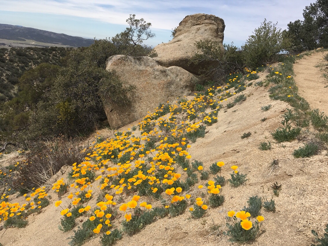 Day 9 – A Day in Paradise