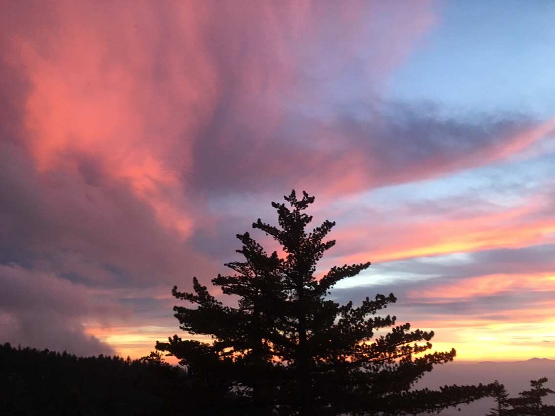 Day 11 – Lifesavers and Fire Volunteer