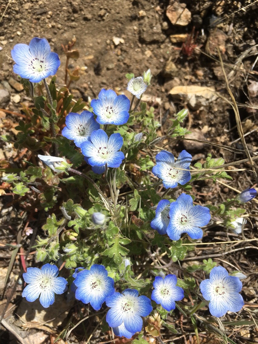 Day 25 – Leaving the high mountains for the high desert