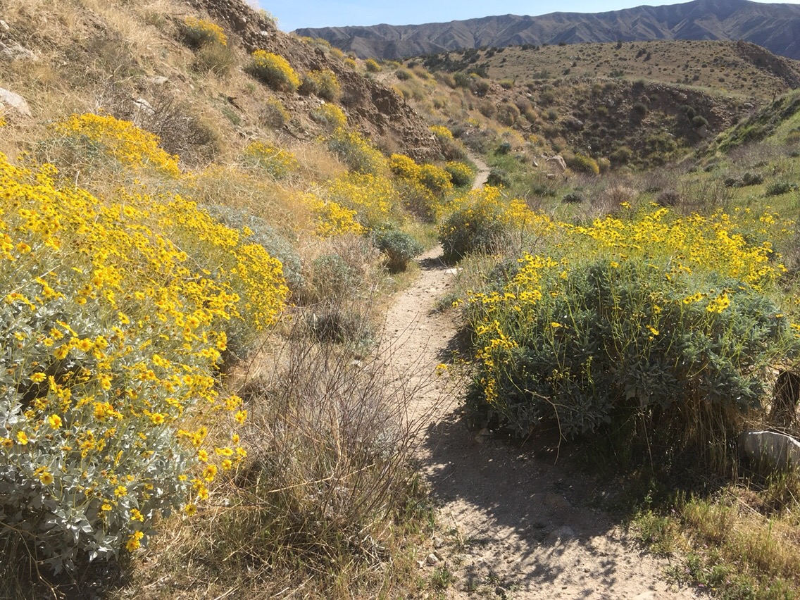 Day 13 – Tarp pitched like a bedspread