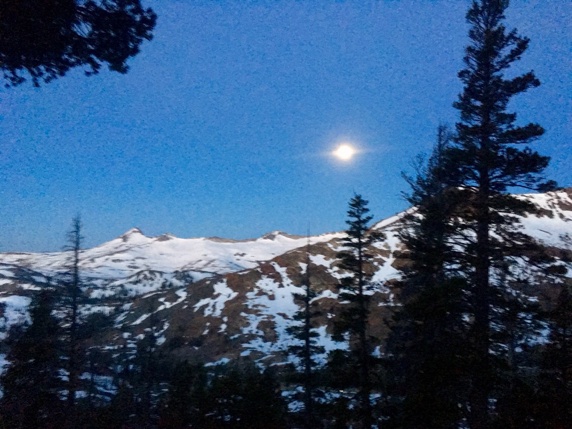 Day 39 – Solitary Man