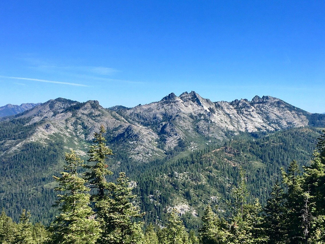 Day 62 – Spam Head