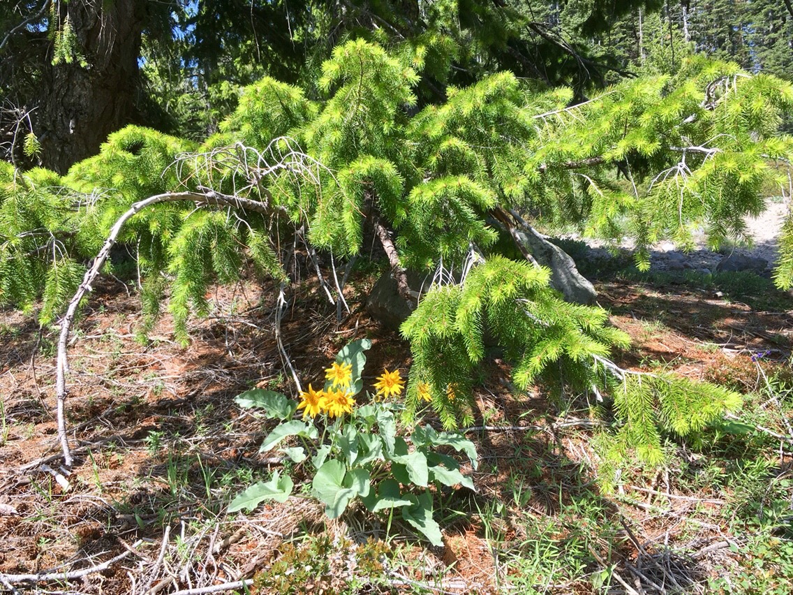 Day 47 – Figuring it out