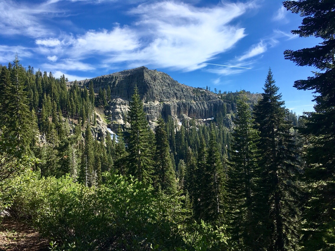 Day 45 – Bear at campsite