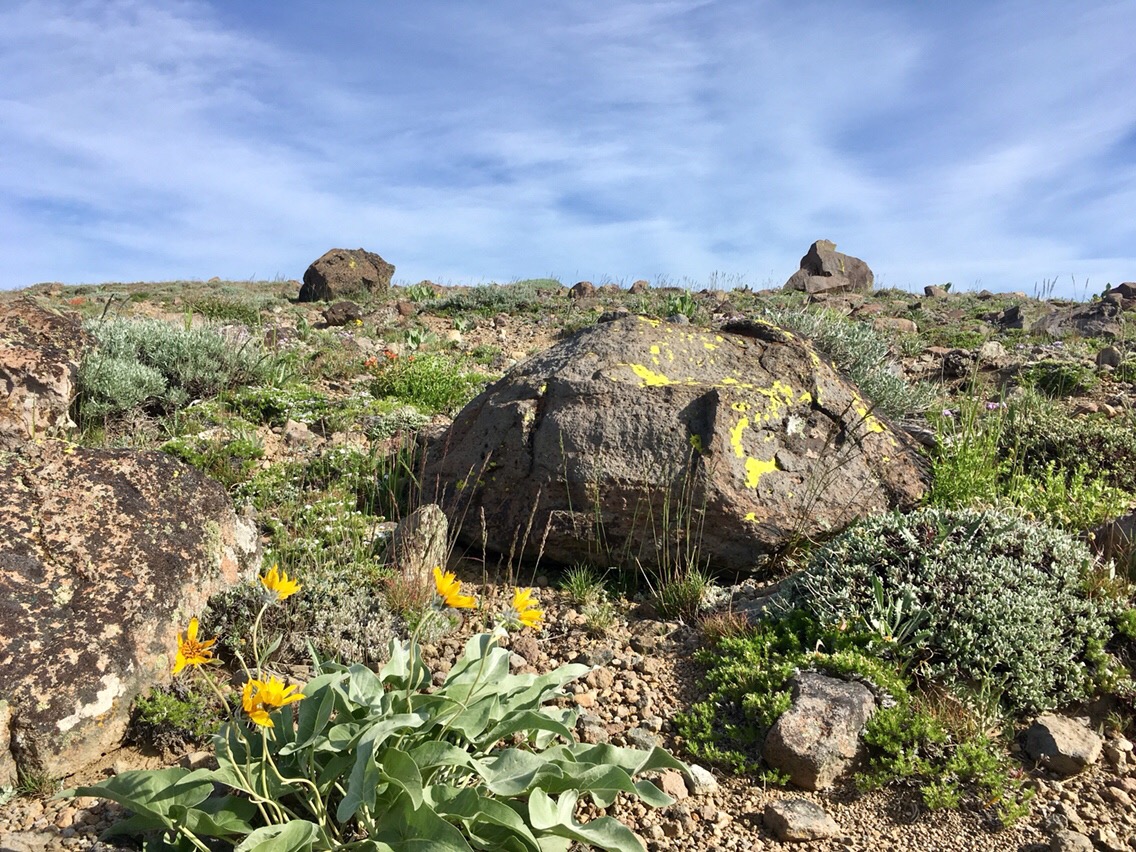 Day 46 – Middle Fork Feather River