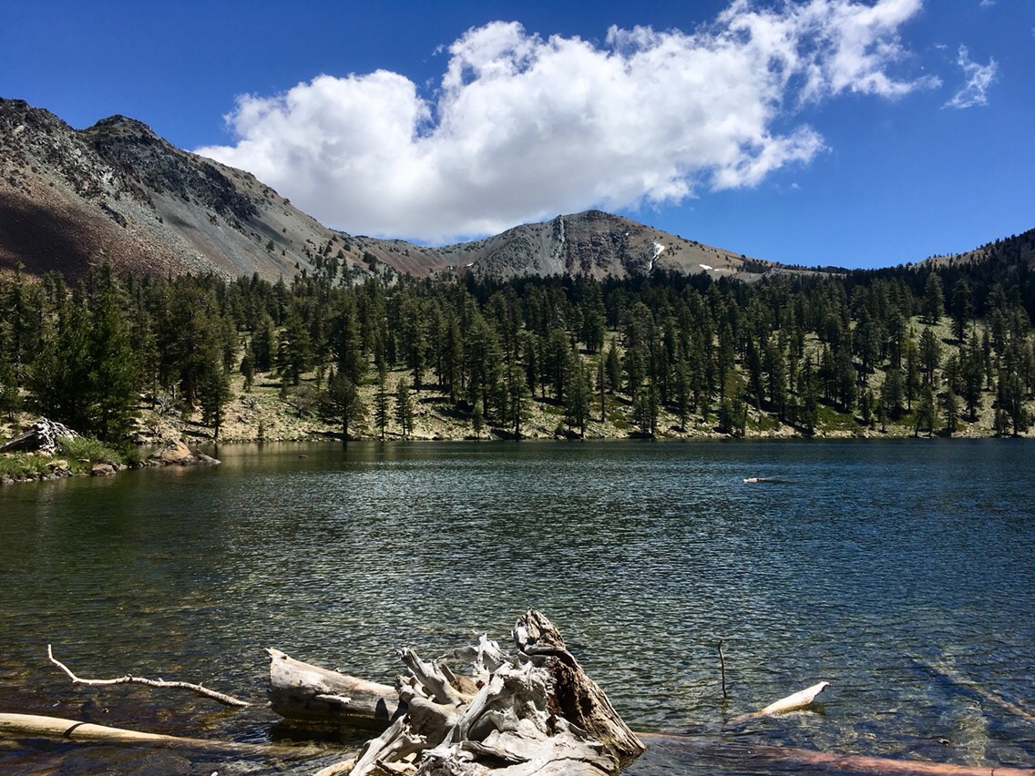 Day 61 – Deadfall Lakes