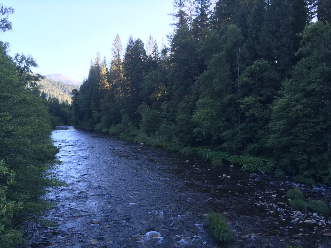 Day 59 – Mt Shasta