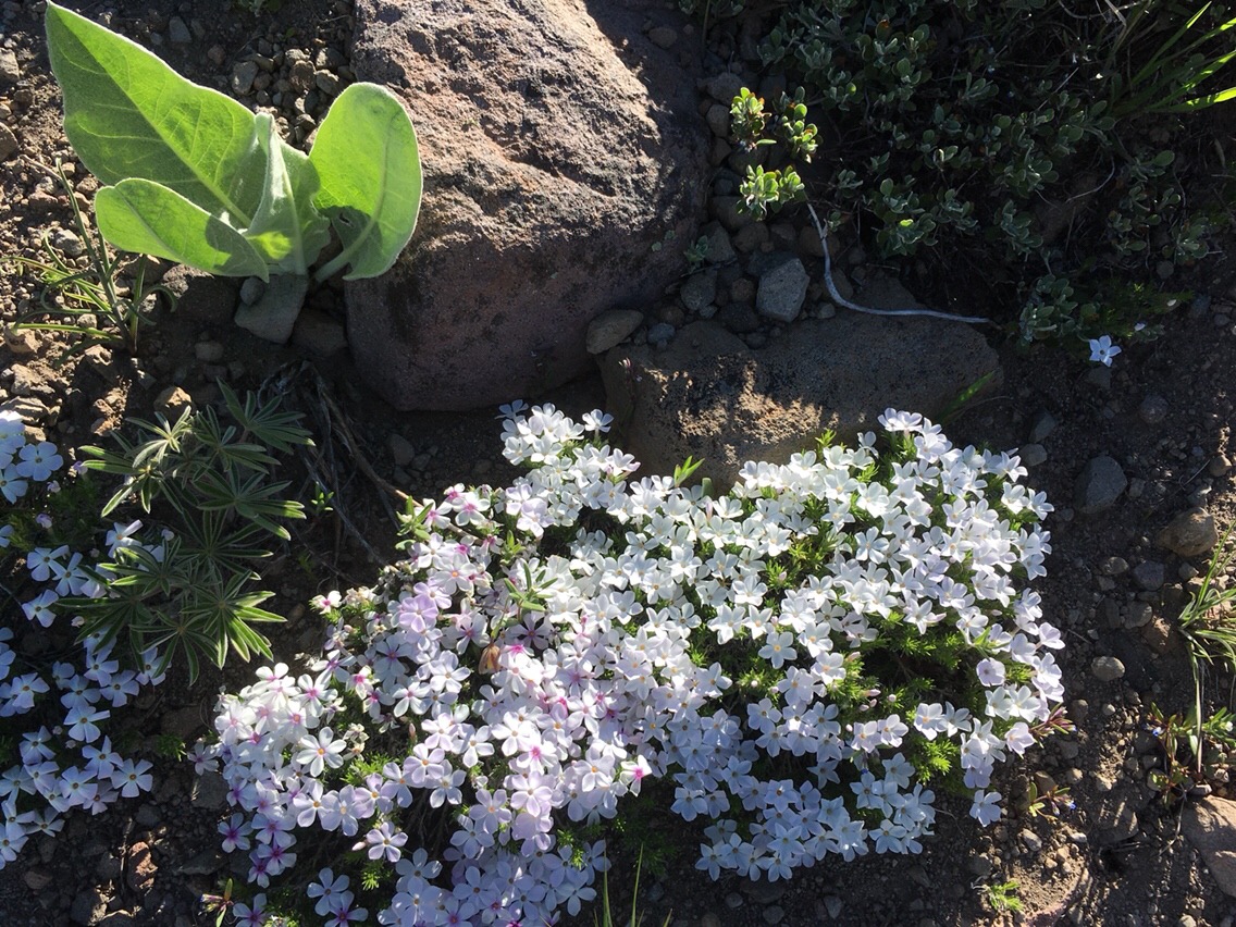 Day 43 – From Snow to Heat