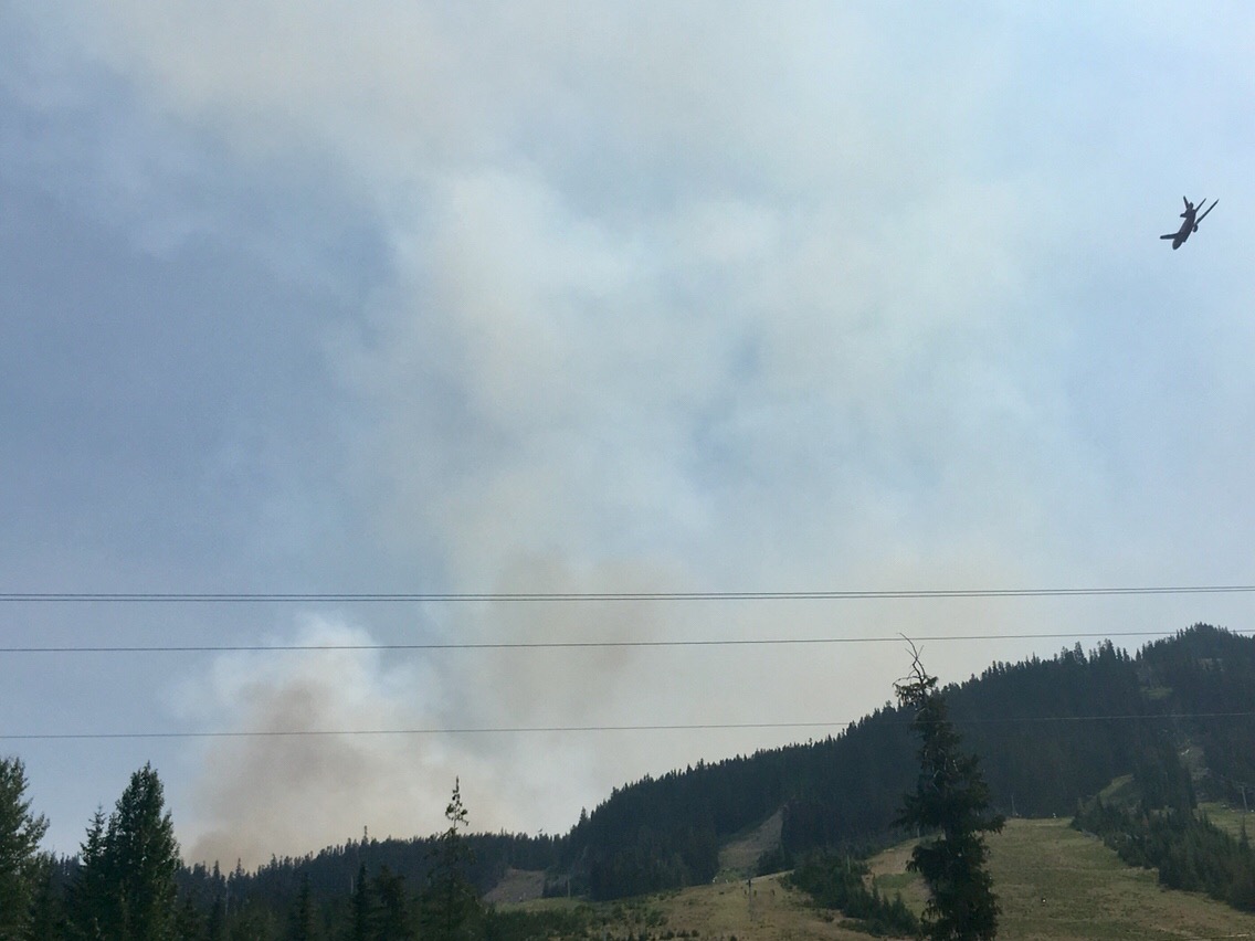 Day 100 – Miriam Fire