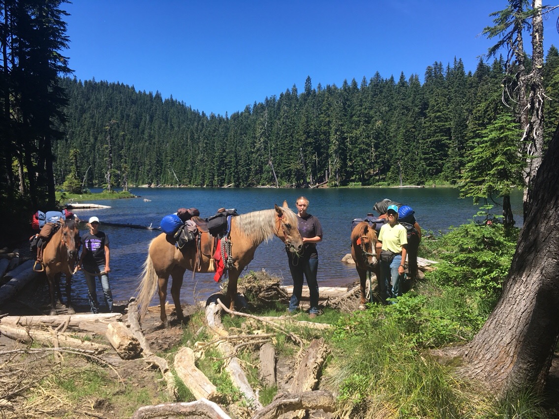 Day 95 – Packing with Horses