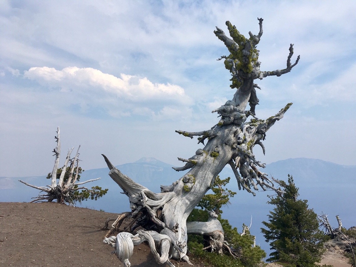 Day 76 – Crater Lake