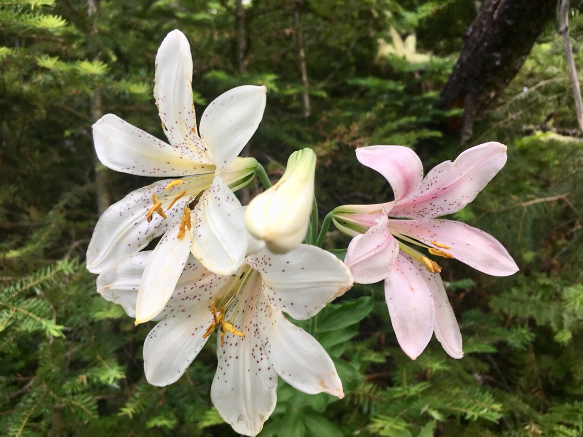 Day 89 – 1000 miles remaining, TWICE!