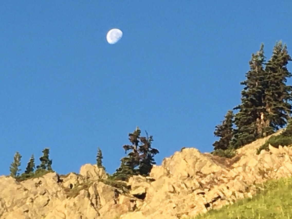 Day 102 – Low Energy Start