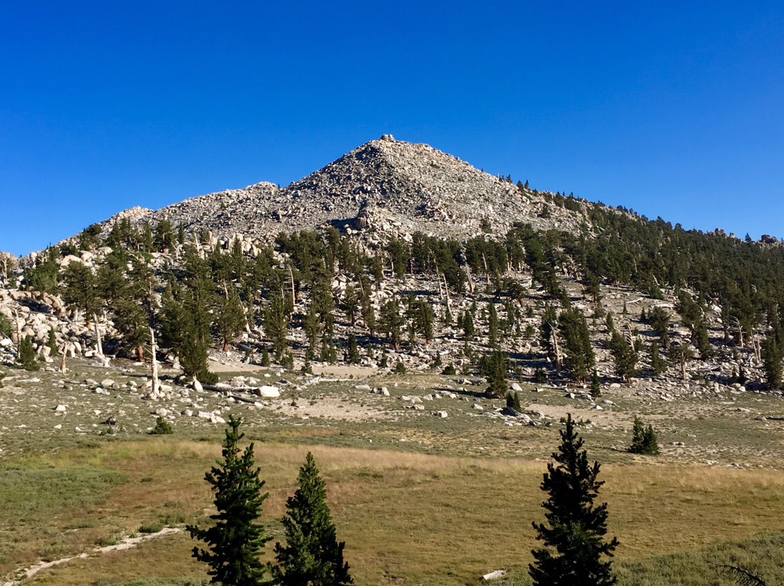 Day 127 – Nero or Pack Mule