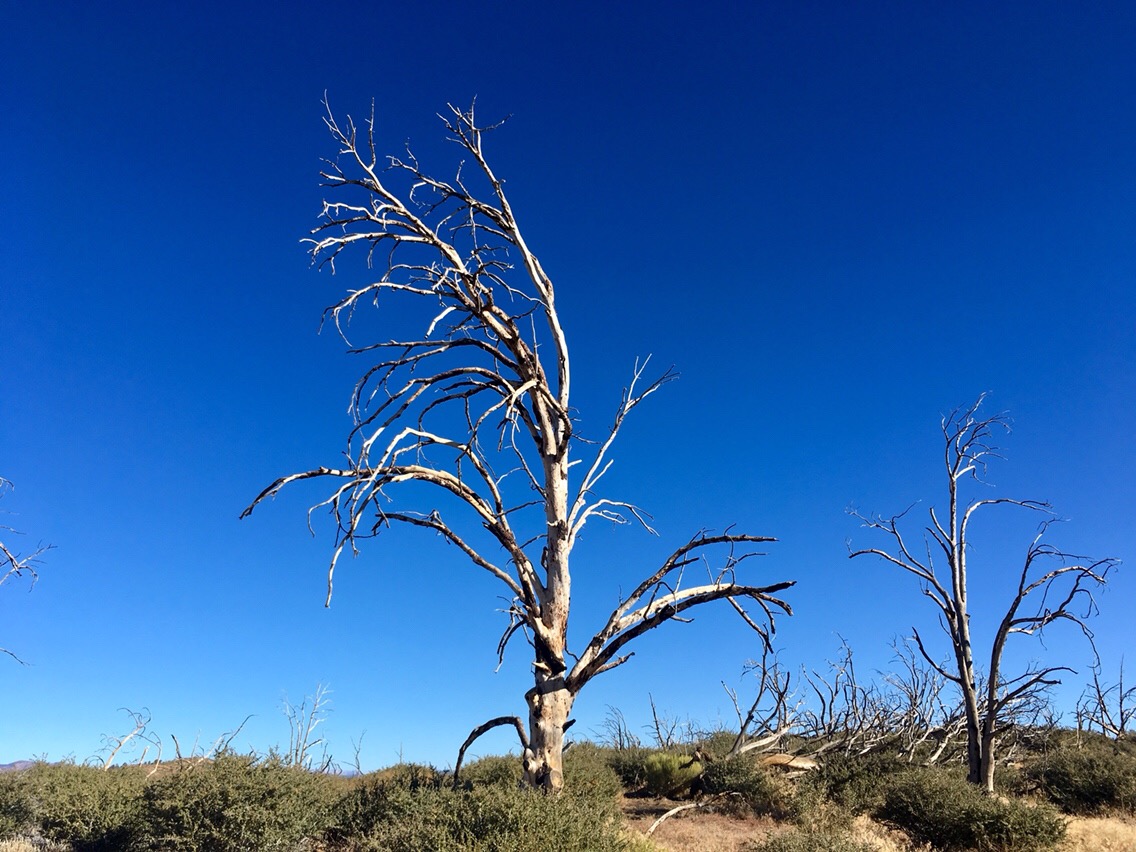 Day 124 – Blue Sky